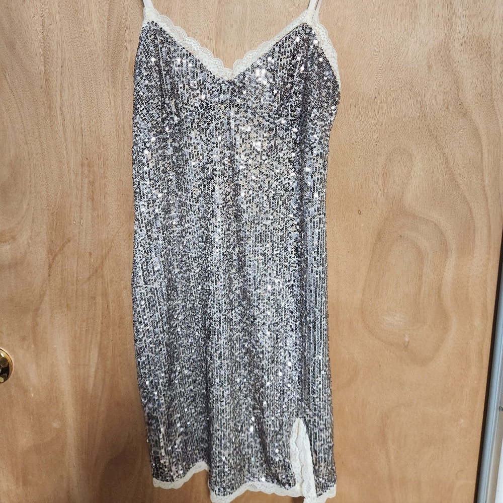 Wild Fable Silver Sequin Midi Dress